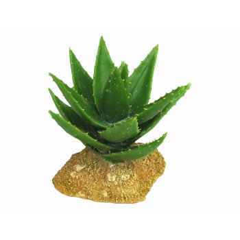 HAQUOSS CACTUS 4 - 12,5x12x11,5h cm